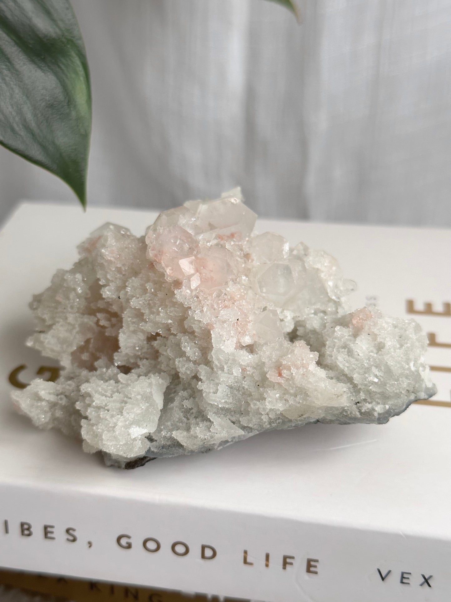 Pink Apophyllite