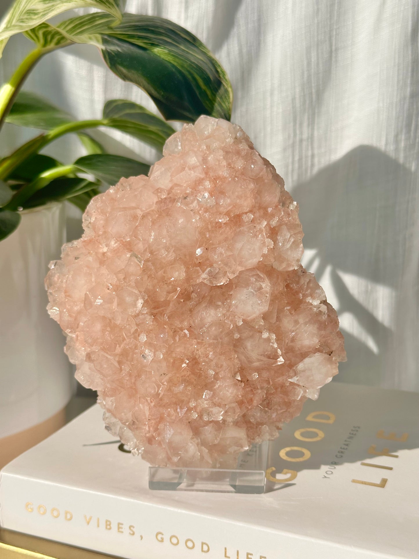 Pink Apophyllite