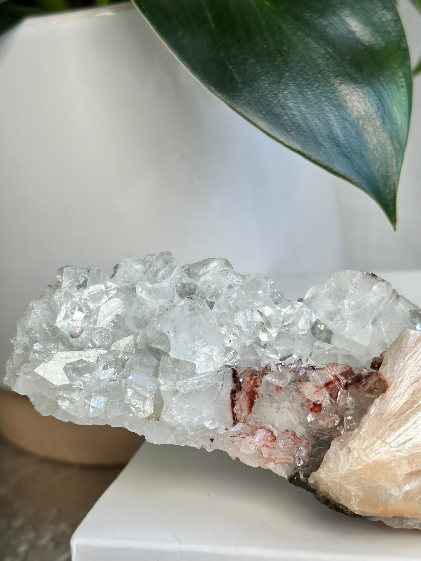 Clear Apophyllite & Stillbite