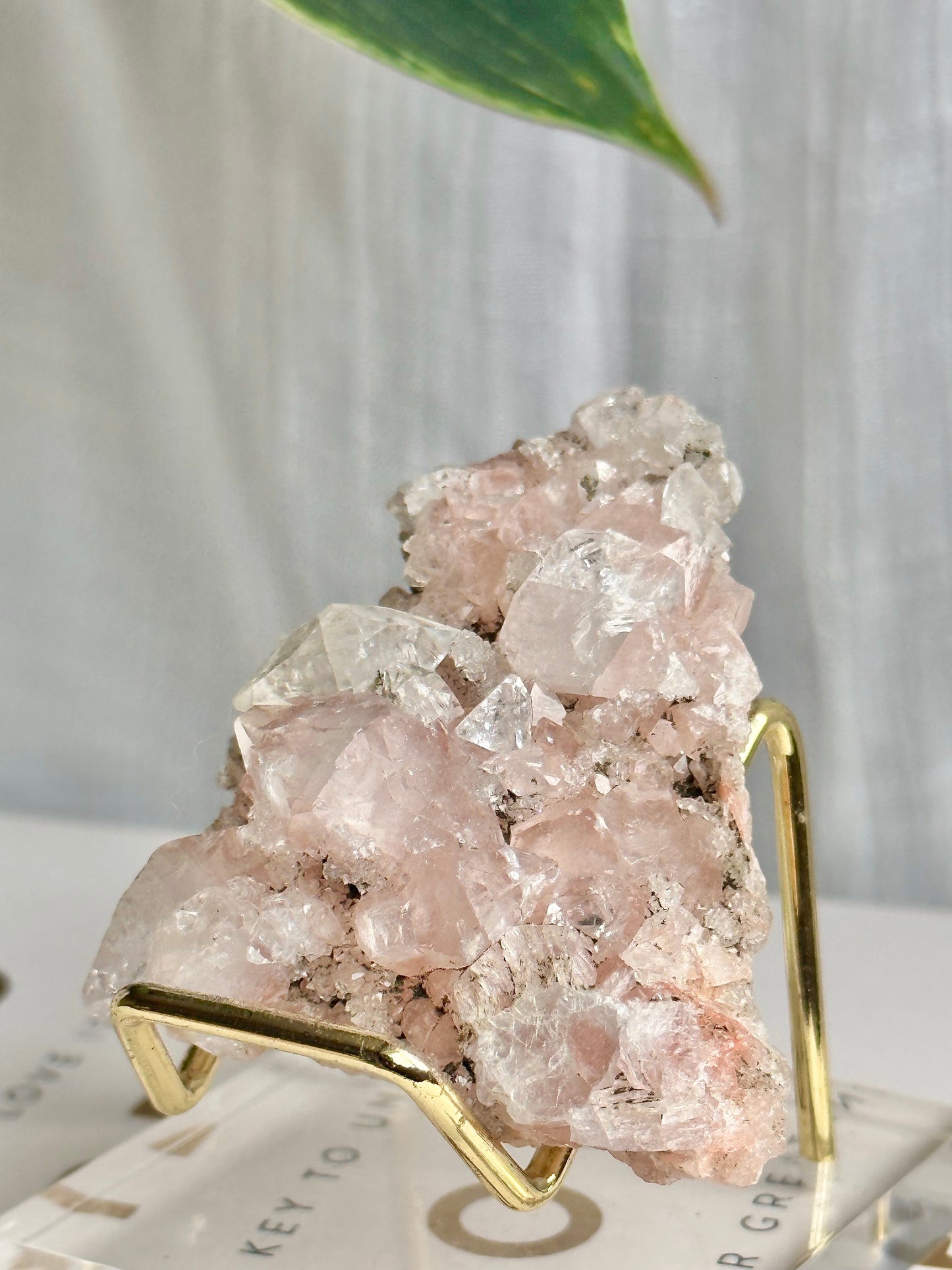 Pink Apophyllite