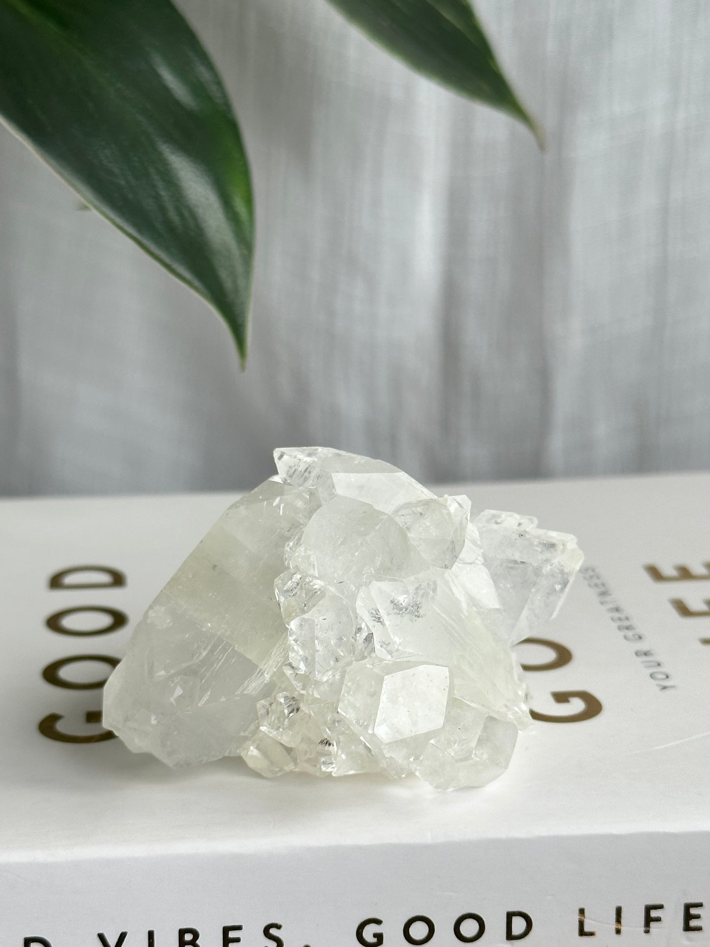 Clear Apophyllite