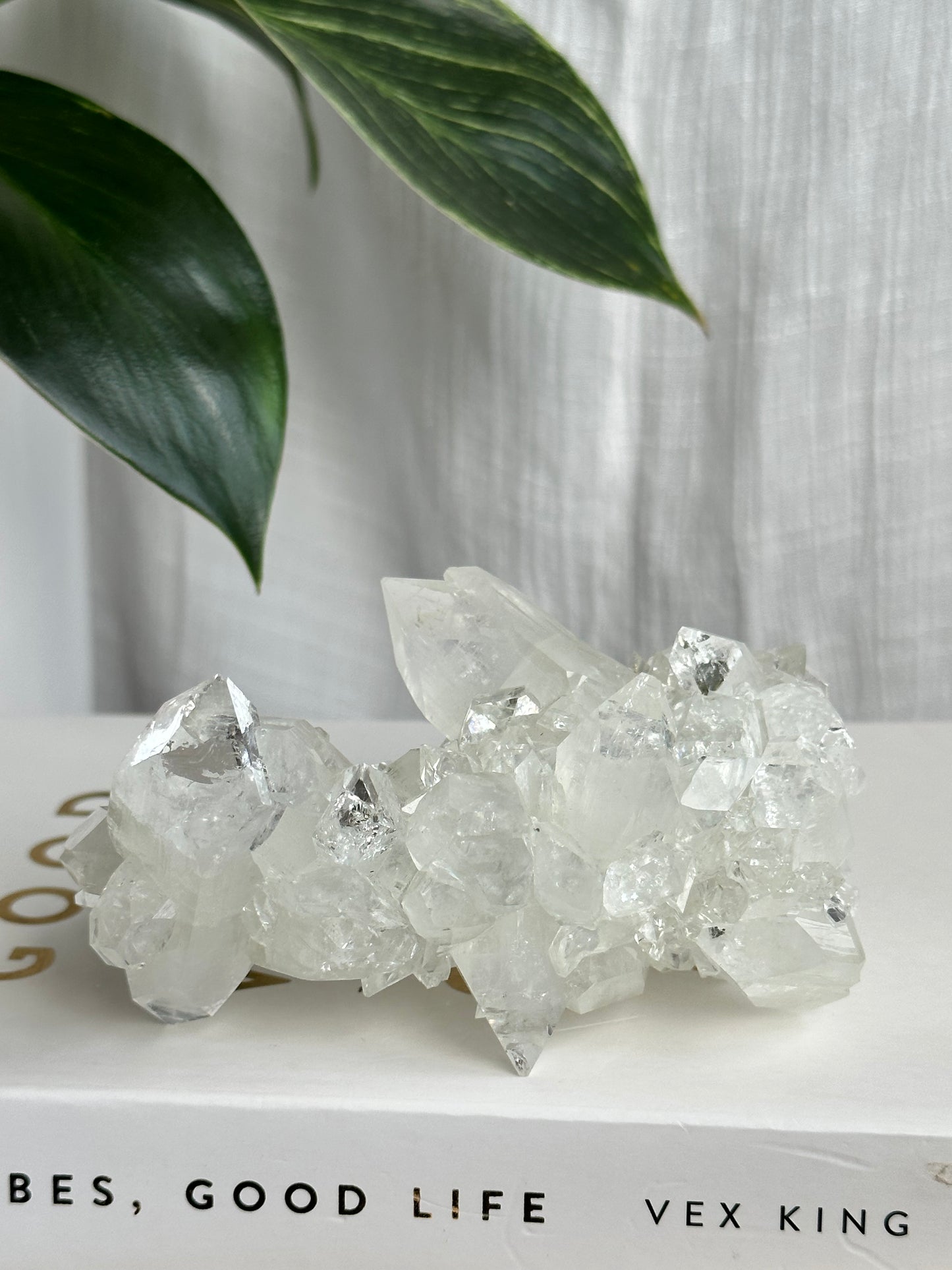 Clear Apophyllite