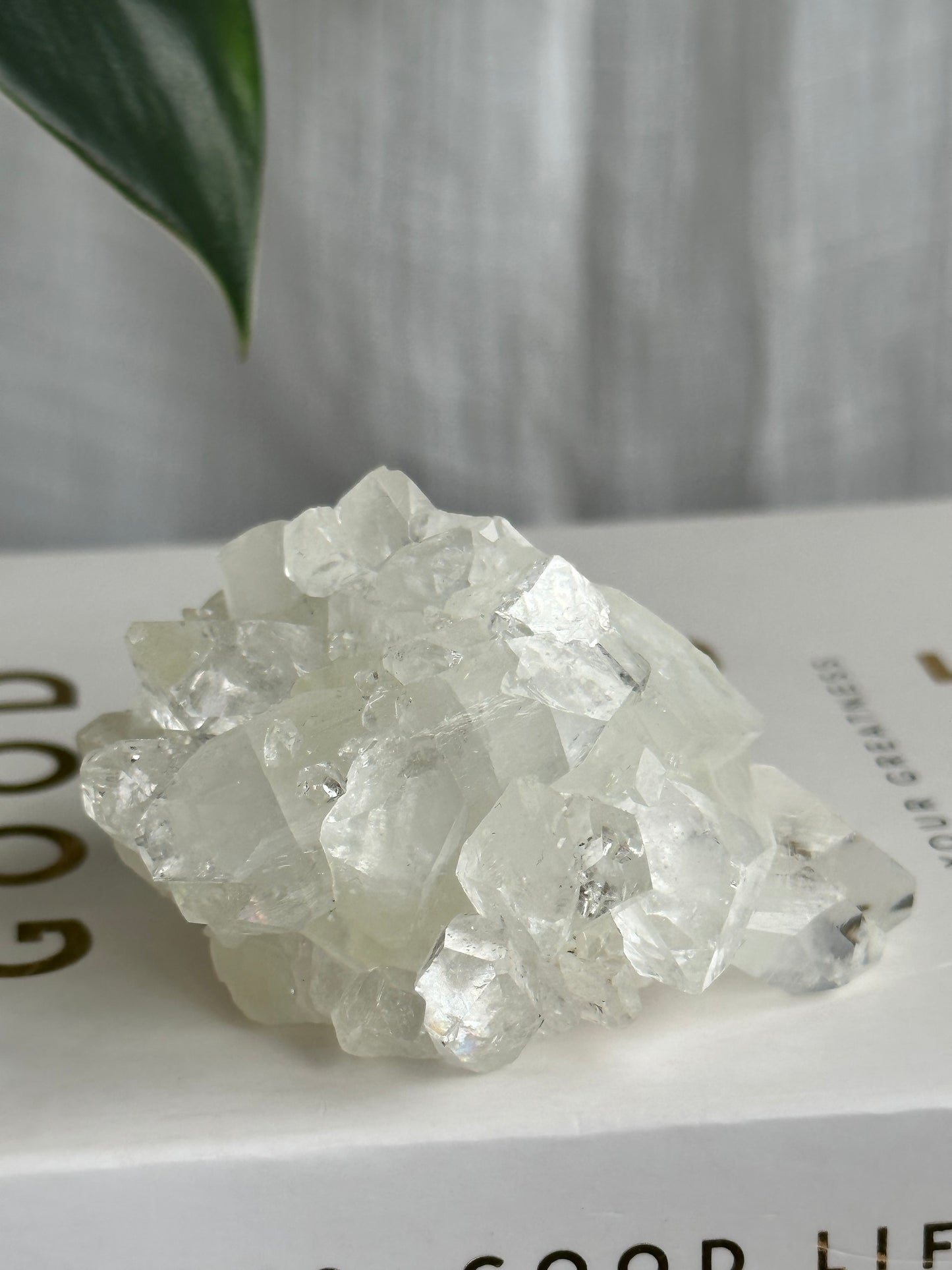 Clear Apophyllite