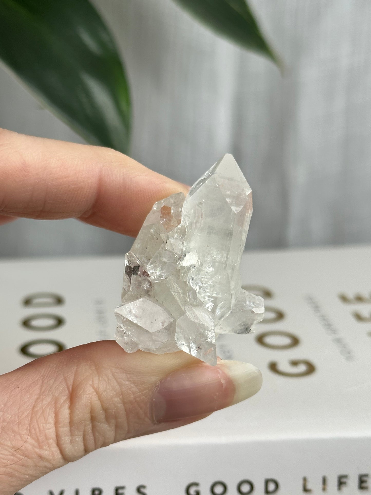 Clear Apophyllite