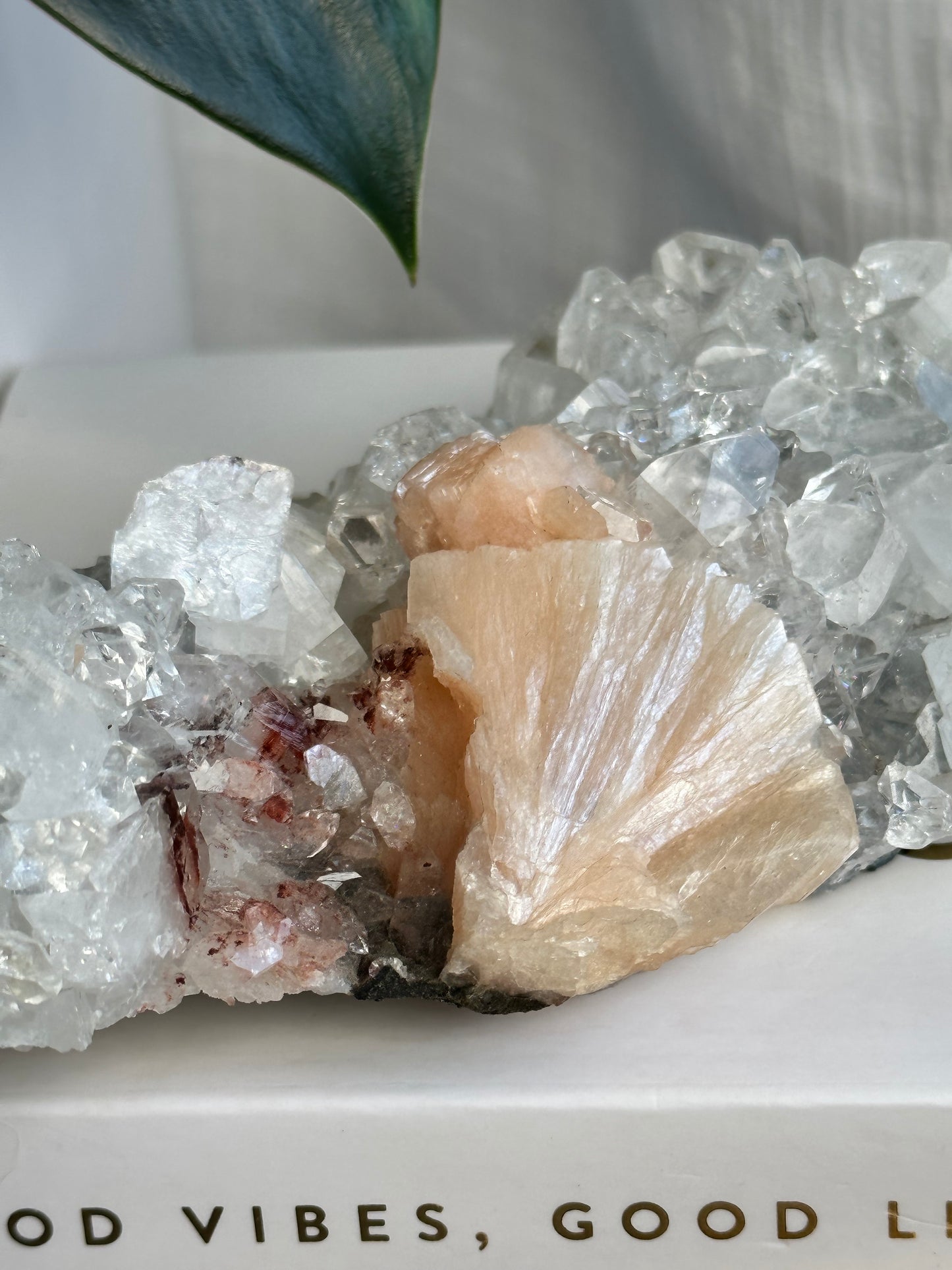 Clear Apophyllite & Stillbite