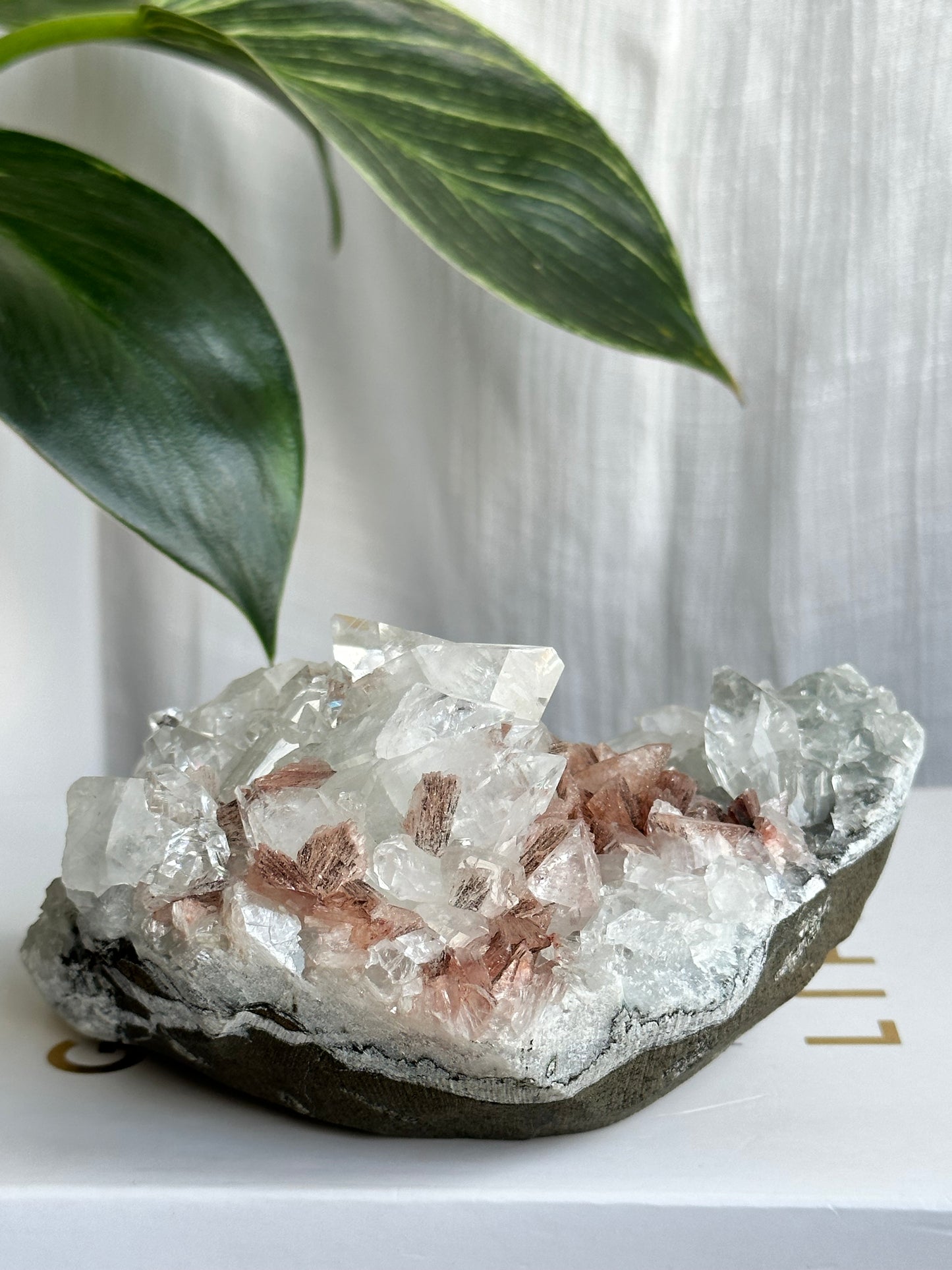 Clear Apophyllite & Stillbite