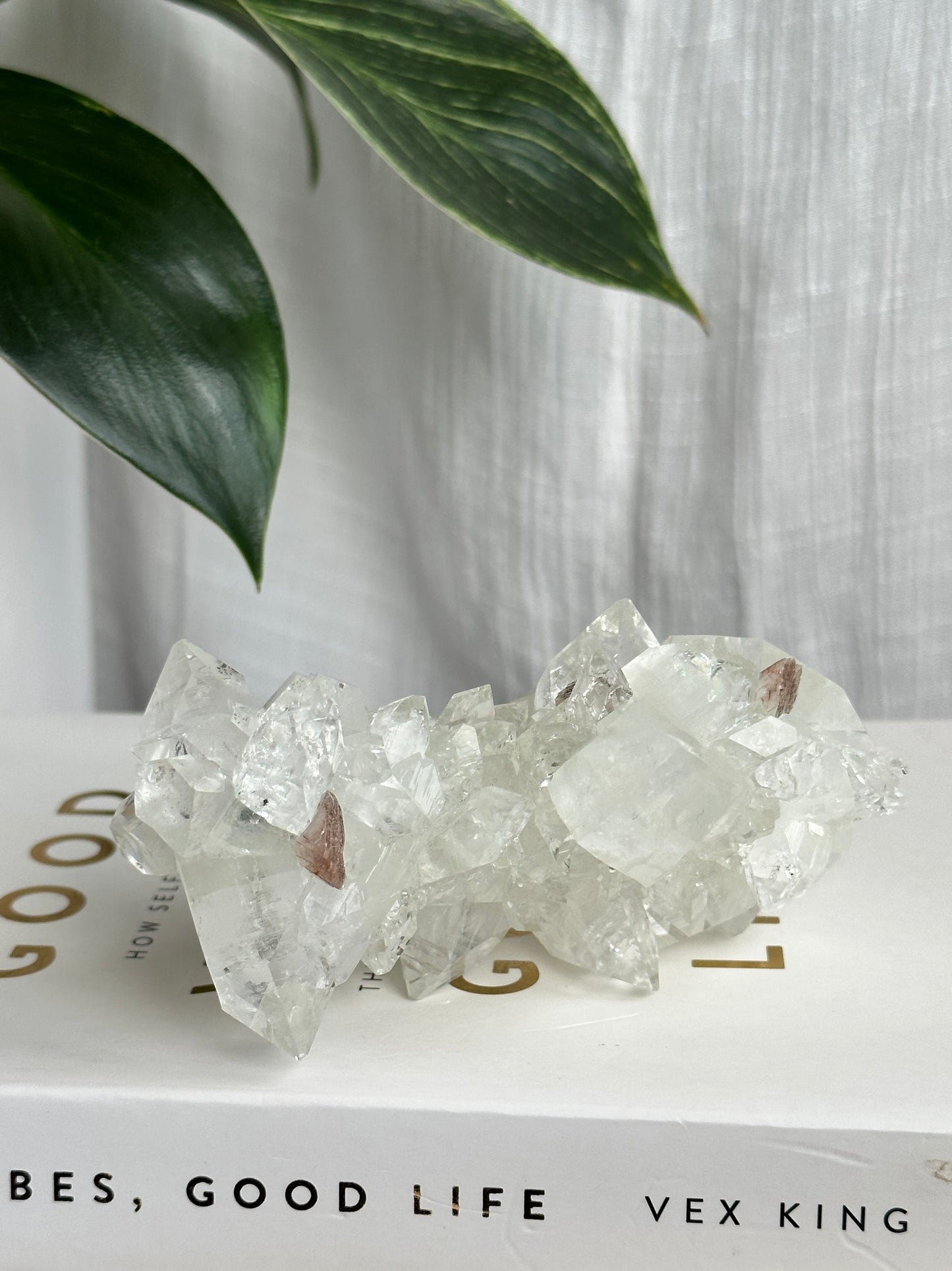 Clear Apophyllite