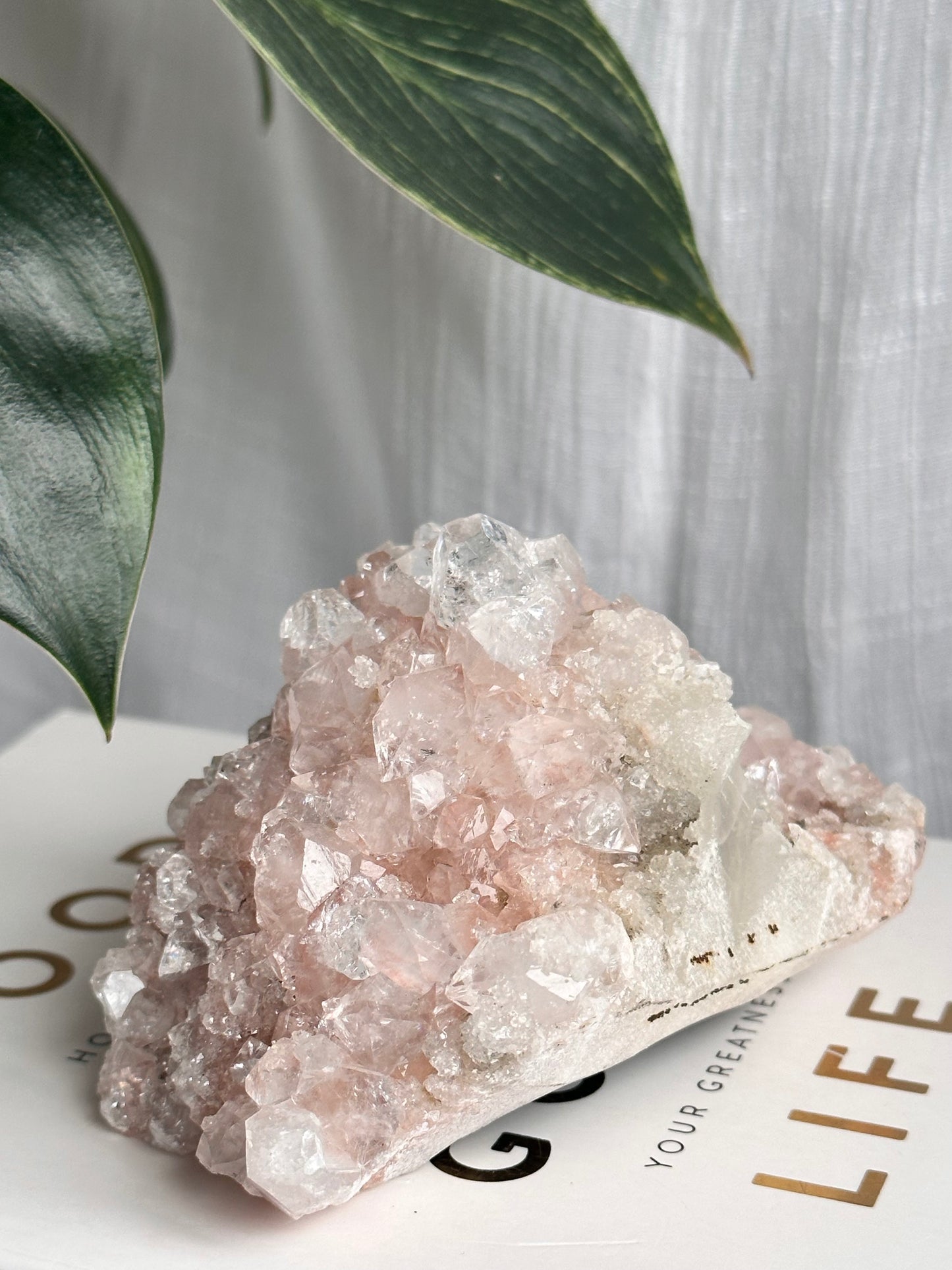 Pink Apophyllite