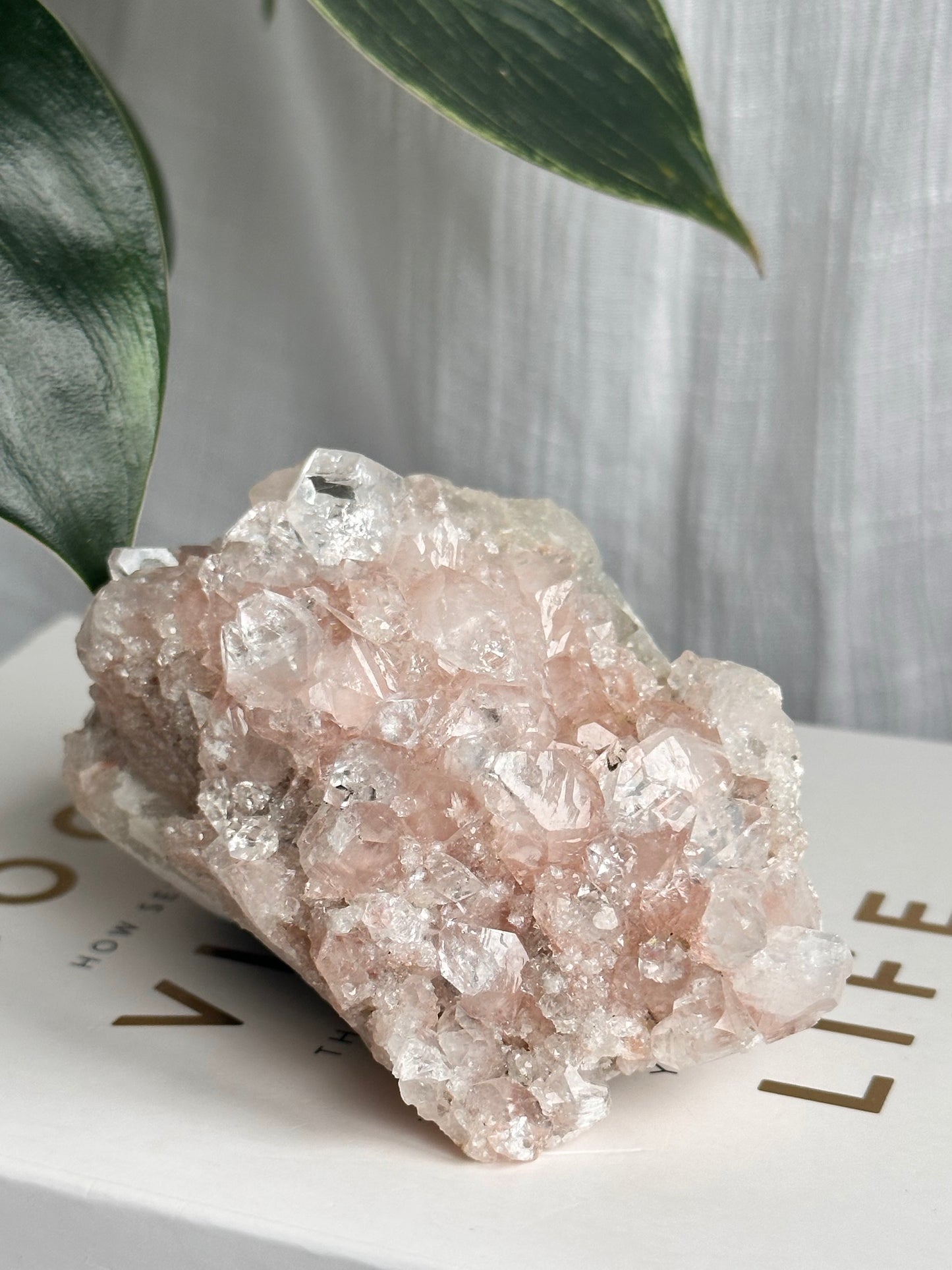 Pink Apophyllite