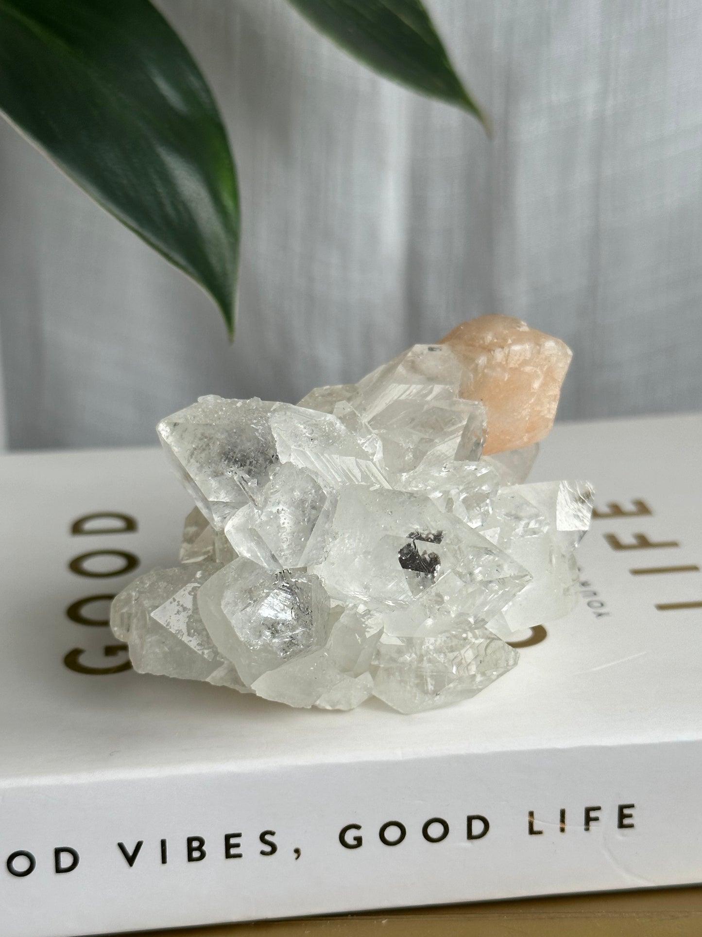 Clear Apophyllite & Stillbite