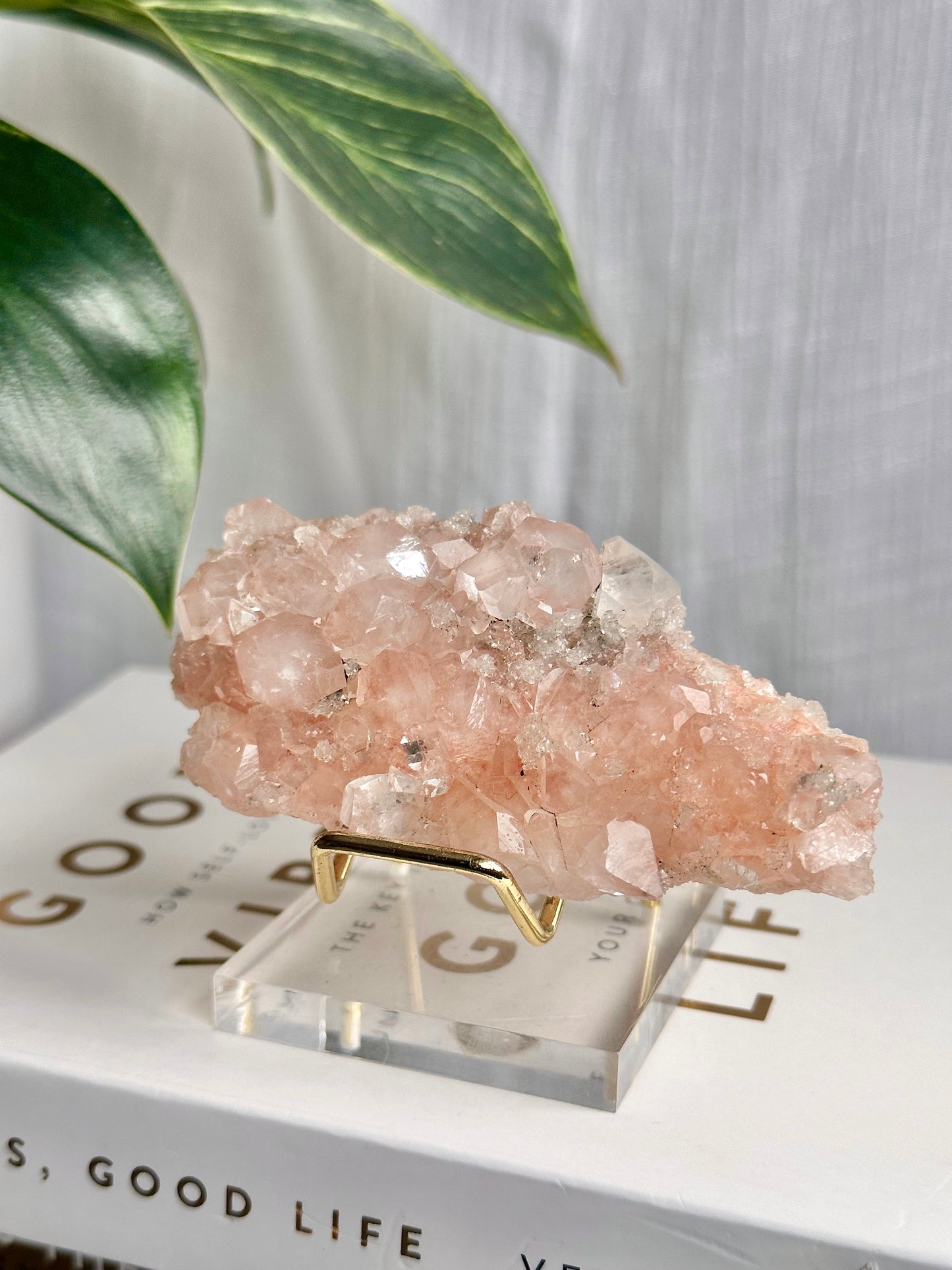 Pink Apophyllite